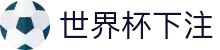 2026世界杯买球首页 - 世界杯入口